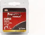 Proferred Staples 1/2” (12mm) Height, 1.2mm Thick, 10.6mm Wide