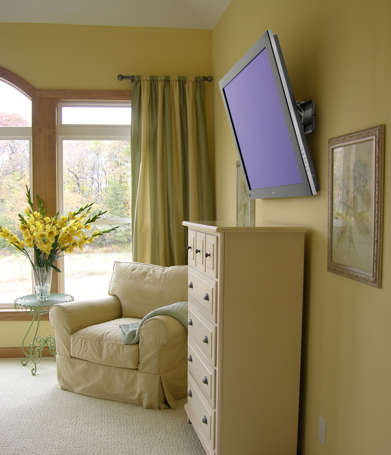 Wall mounted television