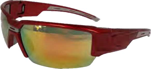 Dentec Safety Hartley™ Gray Polarized ANSI/CSA Lens Red Frame Safety Glasses - 6/Box