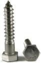 Lag Screws (Bolts) 18/8 Stainless Steel
