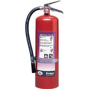 Badger™ Extra 10 lb Purple K Extinguisher w/ Wall Hook