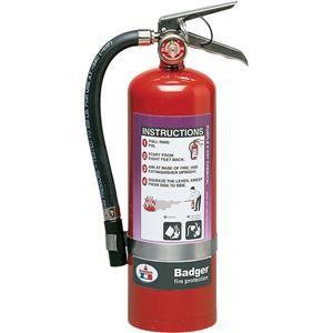 Badger™ Extra 5 lb Purple K Extinguisher w/ Wall Hook