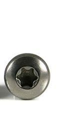 Torx® Alternative Truss Head Steel Zinc Plated Machine Screws