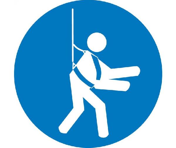 WEAR SAFETY HARNESS ISO LABEL